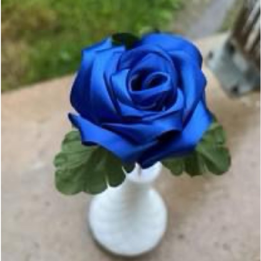 Blue rose